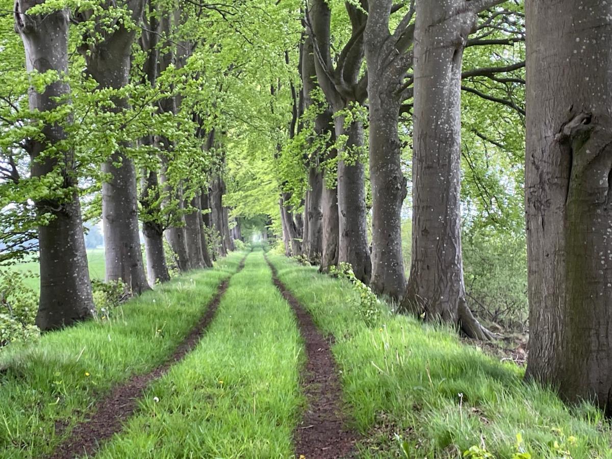 Het Riethuis Holthone Bagian luar foto